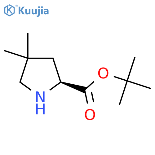 Tert-butyl (2S)-4,4-dimethylpyrrolidine-2-carboxylate structure