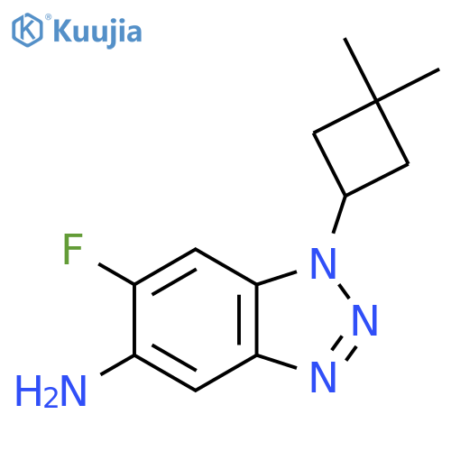 1-(3,3-dimethylcyclobutyl)-6-fluoro-1H-1,2,3-benzotriazol-5-amine structure