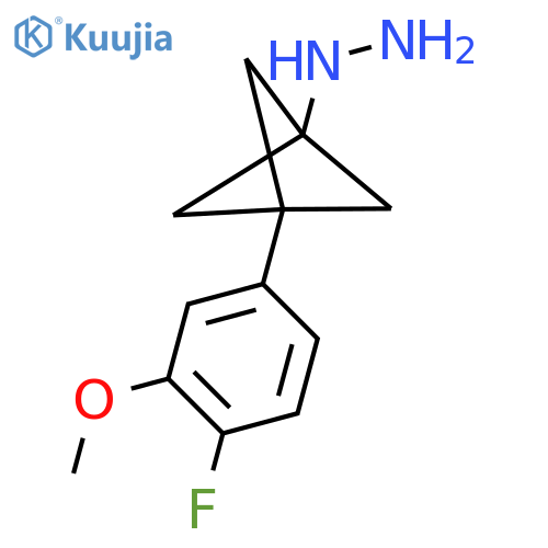 [3-(4-Fluoro-3-methoxyphenyl)-1-bicyclo[1.1.1]pentanyl]hydrazine structure