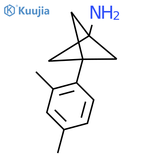 3-(2,4-Dimethylphenyl)bicyclo[1.1.1]pentan-1-amine structure
