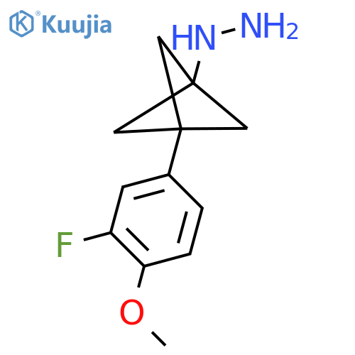 [3-(3-Fluoro-4-methoxyphenyl)-1-bicyclo[1.1.1]pentanyl]hydrazine structure