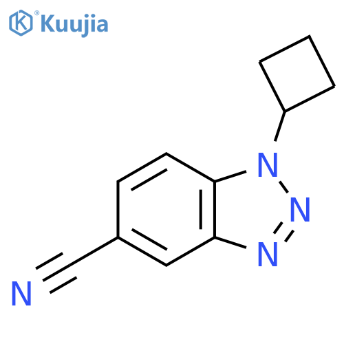 1-cyclobutyl-1H-1,2,3-benzotriazole-5-carbonitrile structure