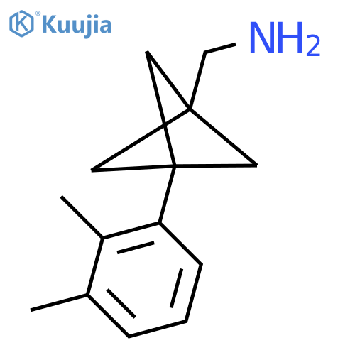 [3-(2,3-Dimethylphenyl)-1-bicyclo[1.1.1]pentanyl]methanamine structure