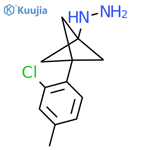 [3-(2-Chloro-4-methylphenyl)-1-bicyclo[1.1.1]pentanyl]hydrazine structure
