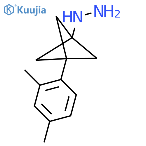 [3-(2,4-Dimethylphenyl)-1-bicyclo[1.1.1]pentanyl]hydrazine structure