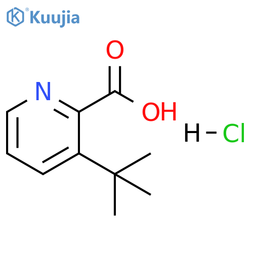 3-(tert-Butyl)picolinic acid (hydrochloride) structure