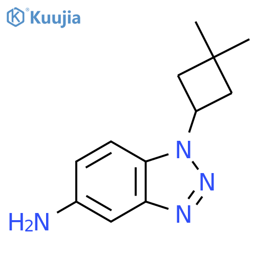1-(3,3-dimethylcyclobutyl)-1H-1,2,3-benzotriazol-5-amine structure