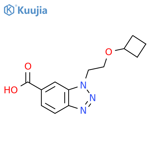 1-(2-cyclobutoxyethyl)-1H-1,2,3-benzotriazole-6-carboxylic acid structure