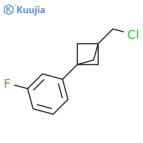 1-(Chloromethyl)-3-(3-fluorophenyl)bicyclo[1.1.1]pentane structure