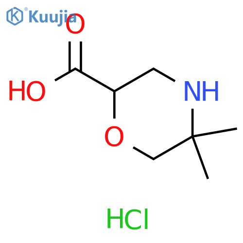 5,5-Dimethylmorpholine-2-carboxylic acid;hydrochloride structure