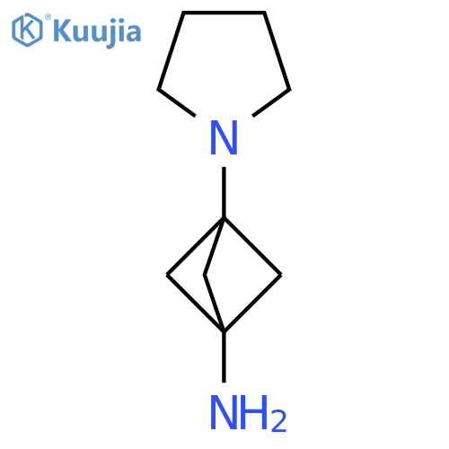 3-(pyrrolidin-1-yl)bicyclo1.1.1pentan-1-amine structure