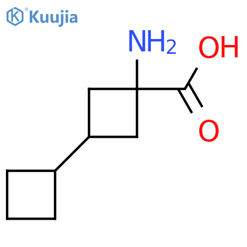 1-Amino-3-cyclobutylcyclobutane-1-carboxylic acid structure