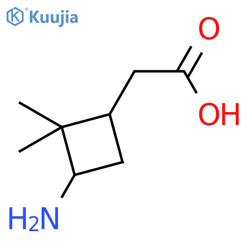 2-(3-amino-2,2-dimethylcyclobutyl)acetic acid structure