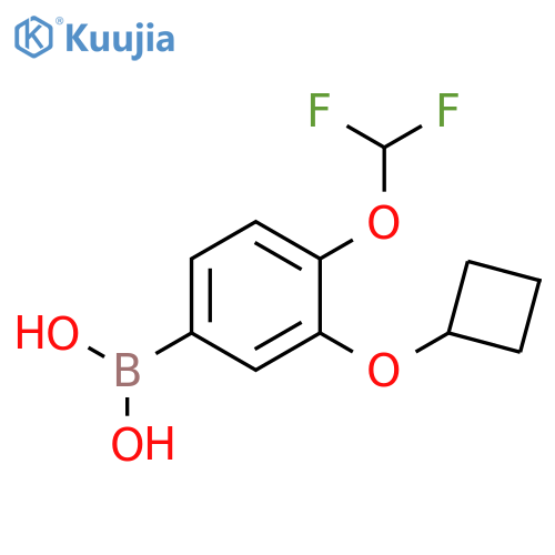 3-Cyclobutoxy-4-(Difluoromethoxy)Phenylboronic Acid(WX650128) structure