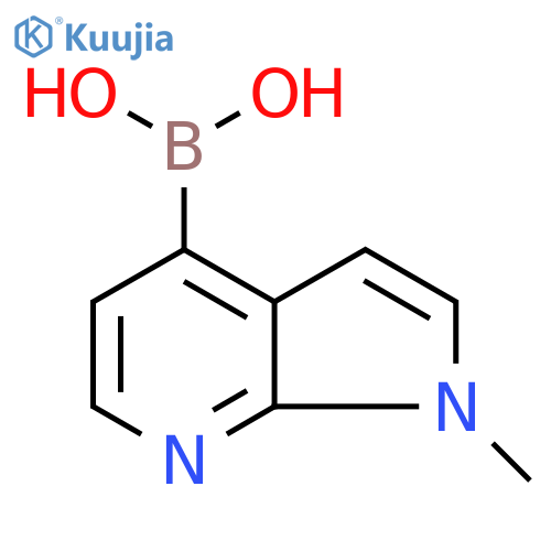 (1-methylpyrrolo[2,3-b]pyridin-4-yl)boronic acid structure