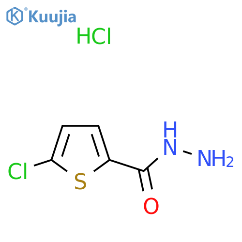 5-Chloro-thiophene-2-carboxylic acid hydrazide hydrochloride structure