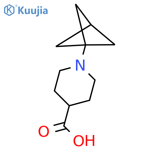 1-(1-bicyclo1.1.1pentanyl)piperidine-4-carboxylic acid structure