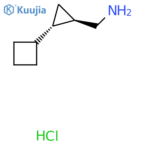 rac-(1R,2S)-2-cyclobutylcyclopropylmethanamine hydrochloride structure