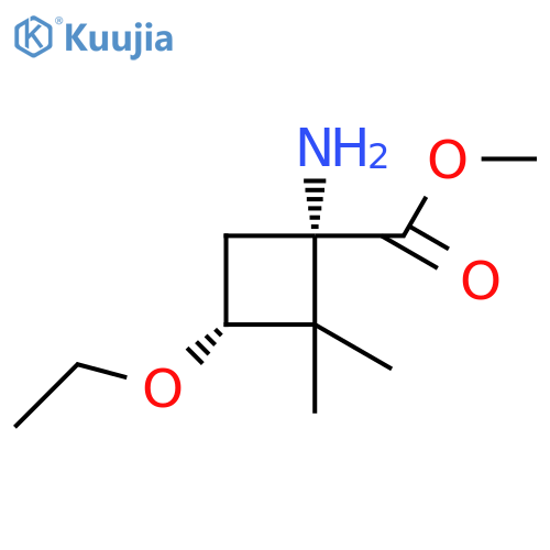 rac-methyl (1R,3S)-1-amino-3-ethoxy-2,2-dimethylcyclobutane-1-carboxylate structure