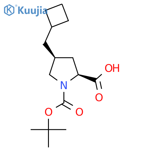 (2S,4S)-4-(Cyclobutylmethyl)-1-[(2-methylpropan-2-yl)oxycarbonyl]pyrrolidine-2-carboxylic acid structure