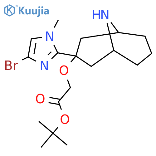 tert-butyl 2-{[3-(4-bromo-1-methyl-1H-imidazol-2-yl)-9-azabicyclo[3.3.1]nonan-3-yl]oxy}acetate structure