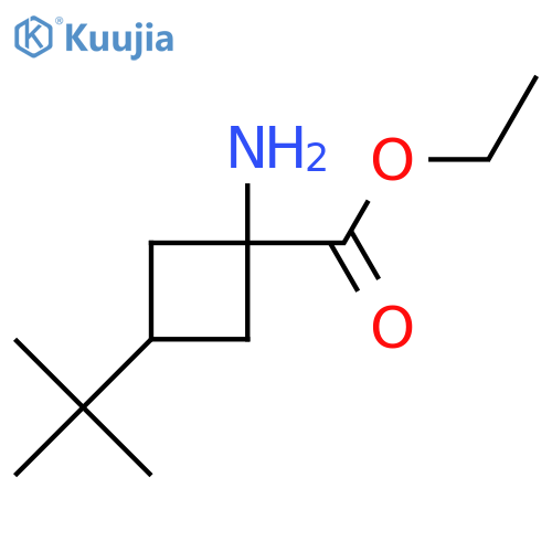 Ethyl 1-amino-3-tert-butylcyclobutane-1-carboxylate structure
