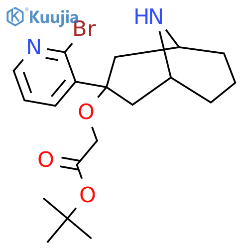 Tert-butyl 2-{[3-(2-bromopyridin-3-yl)-9-azabicyclo[3.3.1]nonan-3-yl]oxy}acetate structure