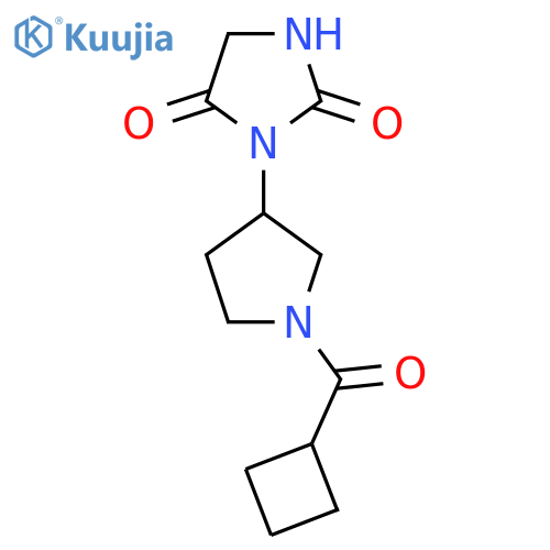 3-(1-(Cyclobutanecarbonyl)pyrrolidin-3-yl)imidazolidine-2,4-dione structure