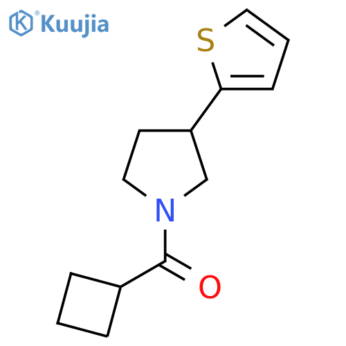 1-cyclobutanecarbonyl-3-(thiophen-2-yl)pyrrolidine structure