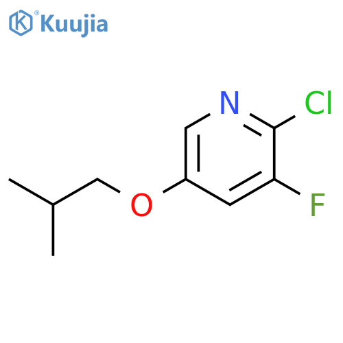2-Chloro-3-fluoro-5-isobutoxypyridine structure