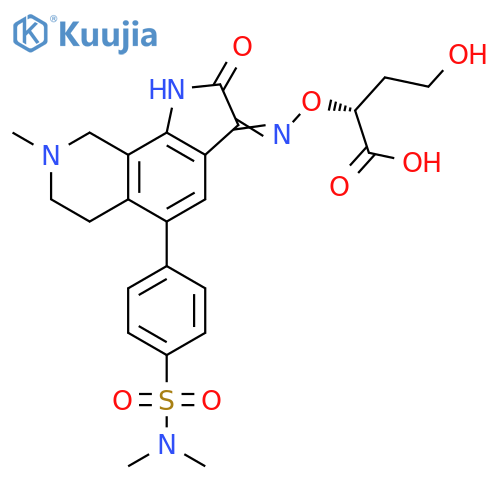 NS 1219 structure