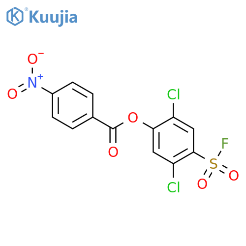 Benzenesulfonylfluoride, 2,5-dichloro-4-[(4-nitrobenzoyl)oxy]- structure