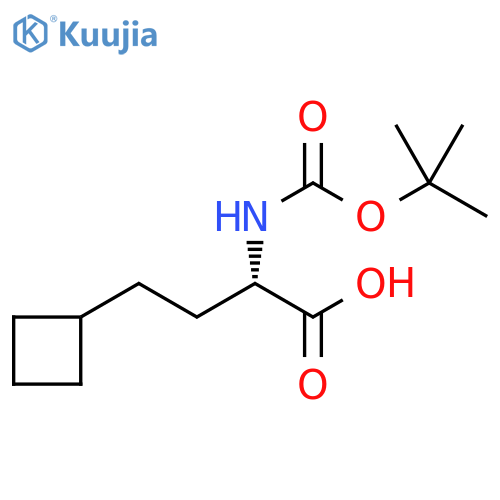 (2S)-2-(tert-butoxycarbonylamino)-4-cyclobutyl-butanoic acid structure