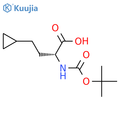 (R)-2-((tert-Butoxycarbonyl)amino)-4-cyclopropylbutanoic acid structure