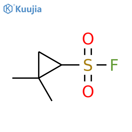 2,2-Dimethylcyclopropane-1-sulfonyl fluoride structure