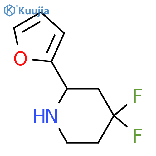 4,4-difluoro-2-(furan-2-yl)piperidine structure
