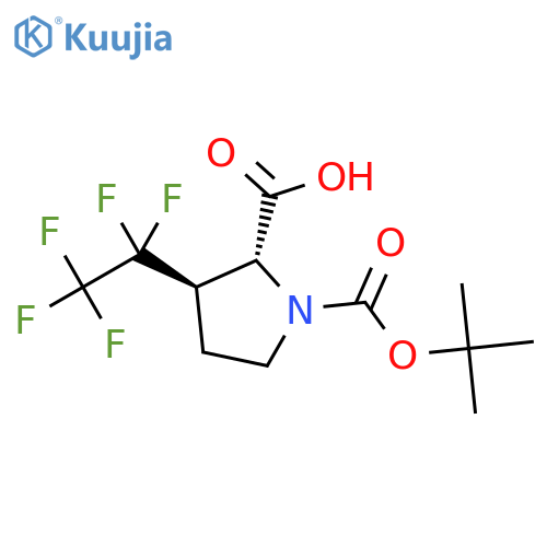 1-(1,1-Dimethylethyl) (2R,3R)-3-(1,1,2,2,2-pentafluoroethyl)-1,2-pyrrolidinedicarboxylate structure
