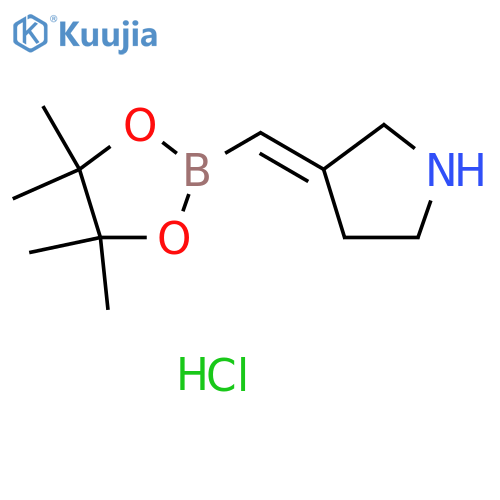 (3E)-3-[(4,4,5,5-tetramethyl-1,3,2-dioxaborolan-2-yl)methylene]pyrrolidine;hydrochloride structure