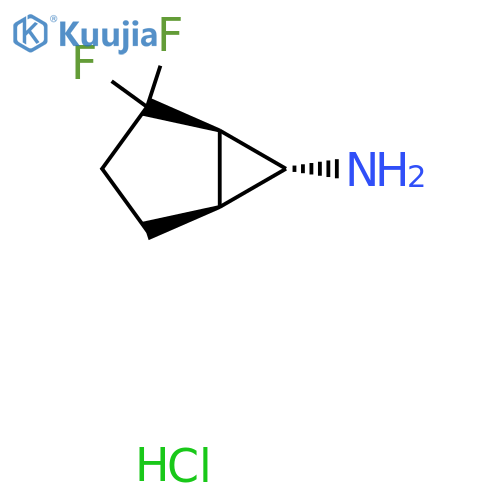 (1R,5S,6R)-2,2-Difluorobicyclo[3.1.0]hexan-6-amine;hydrochloride structure