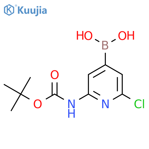 2-(t-Butoxycarbonylamino)-6-chloropyridine-4-boronic acid structure