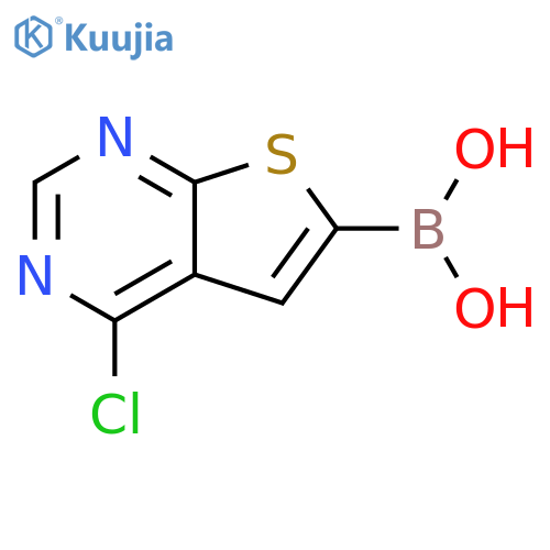 4-Chlorothieno[2,3-d]pyrimidine-6-boronic acid structure