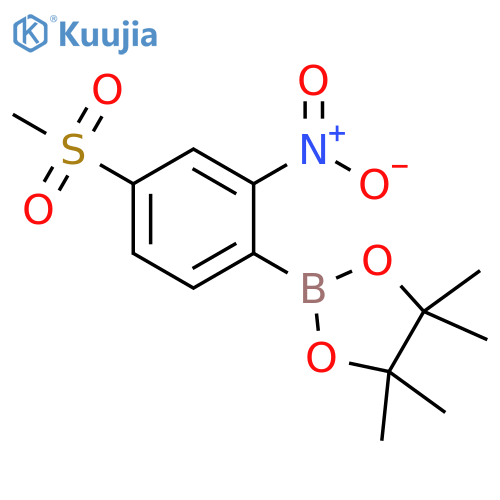 4-nitro-3-(4,4,5,5-tetramethyl-1,3,2-dioxaborolan-2-yl)benzene-1-sulfonyl chloride structure