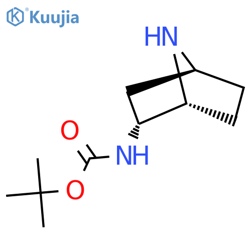 tert-Butyl (1R,2R,4S)-7-azabicyclo[2.2.1]heptan-2-ylcarbamate structure
