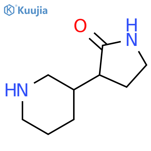 3-(piperidin-3-yl)pyrrolidin-2-one structure