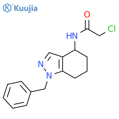 Acetamide, 2-chloro-N-[4,5,6,7-tetrahydro-1-(phenylmethyl)-1H-indazol-4-yl]- structure