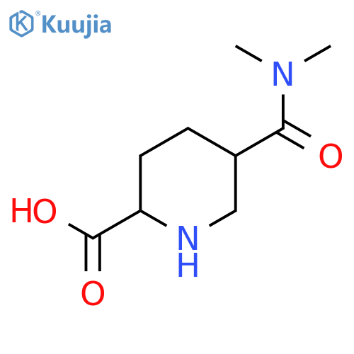 5-(dimethylcarbamoyl)piperidine-2-carboxylic acid structure