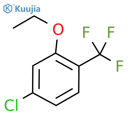 Benzene, 4-chloro-2-ethoxy-1-(trifluoromethyl)- structure