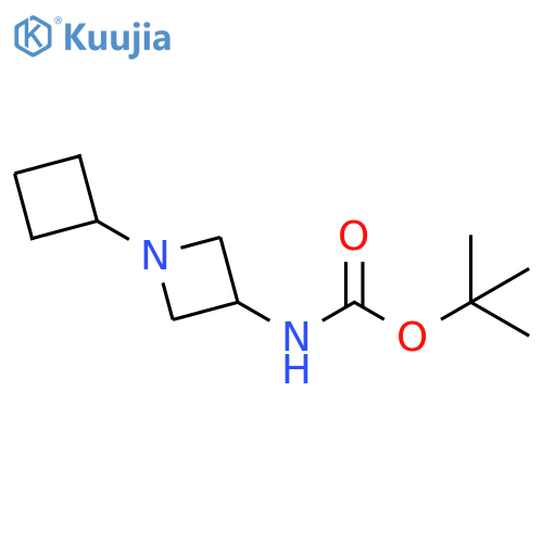 tert-butyl N-(1-cyclobutylazetidin-3-yl)carbamate structure