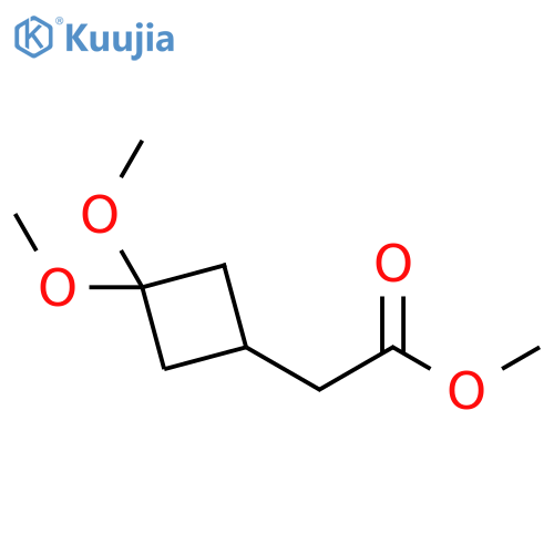 methyl 2-(3,3-dimethoxycyclobutyl)acetate structure