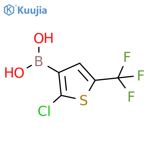 2-chloro-5-(trifluoromethyl)thiophen-3-ylboronic acid structure
